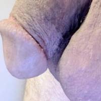 My shaved dick in a profile view. Fleshy......