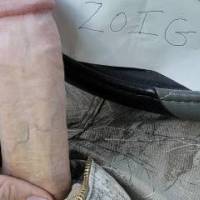 Verification dick pick