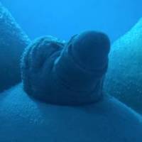Underwater dick.