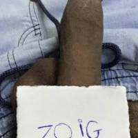 my dick with zoig logo