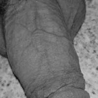 my Dick on Display