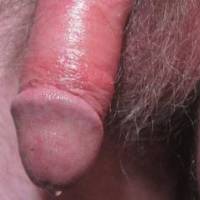 A close up frontal of my red wood colored dick [tong balm was applied/makes a guy last longer] plus my tip has a fluid bubble forming...September 2025... Canon  S95 camera was used.