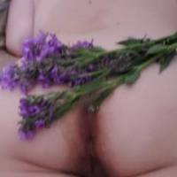 Wildflower butthole