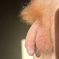Just wanna show you how much and how long my orange hair on my dick is :) 
What do you think about it?