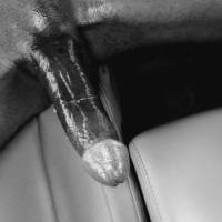 Very nice view of a stiff shaved dick