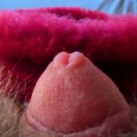My tiny dick vs the heel of a fluffy slipper