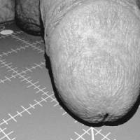 ♡  my Dick on the Grid