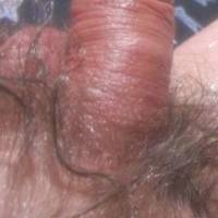 Another close up, but from above of my smaller dick with traces of lube as I sit at my desk on May 1ST of 2025. A S95 camera was used.