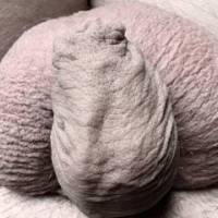 Pic of my dick.
