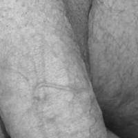 Just a Dick Pic