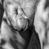 dick