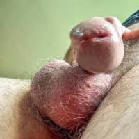 dick