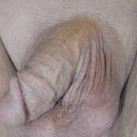 Just chillin' with my smooth dick and balls out.