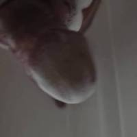 At what point does soaping up your dick and getting your ass all sudsy and making sure your undercarriage is all squeaky clean cross the line and become masturbating? Just making sure I am fresh and clean before getting on and GETTING OFF with my day.