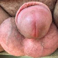 dick