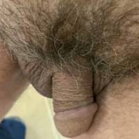 More of my hirsute dick