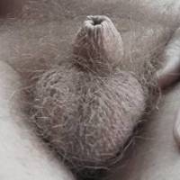 My hairy micro dick
