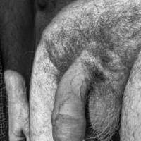 dick