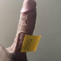 My zoig dick