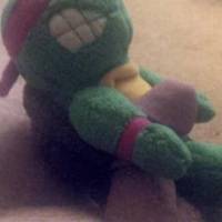 It's a Ninja Turtle choking that flaccid dick out MMA style.