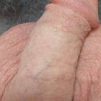 Dick pic for my girlfriend before erection. What do y'all think?