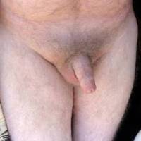 Uncircumcised dick starting to get hard