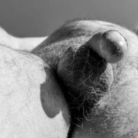 dick