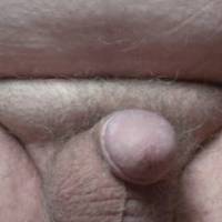 dick loves attention