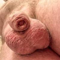 dick