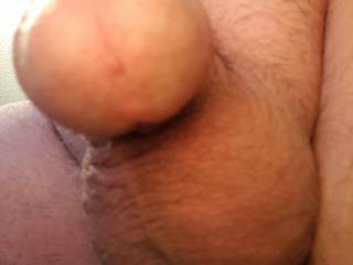 Hanging nicely this morning,  would you like to have this view?