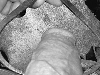Measuring  the Girth of a penis/Cock/Dick/weiner