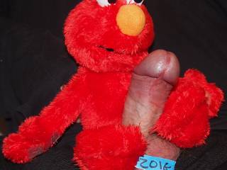 Elmo hard and throbbing while watching the lovely ladies on zoig