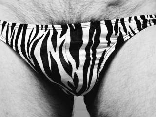 Zebra Thong