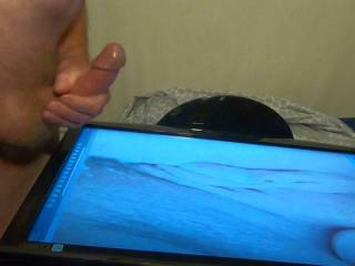 purrfect live tribute in the chat room, who\'s next?