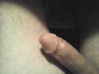 My husband\'s dick getting hard doing photo tributes this morning.