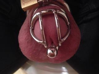 Extra short cock cage