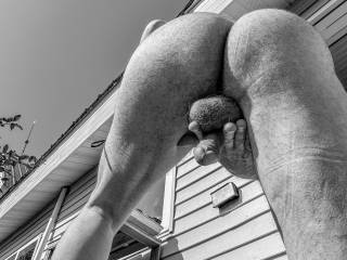 butt