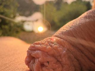 Mr. Cock enjoying the evening sun.