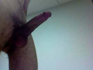 cock