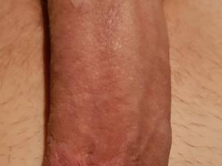My Fuckcock