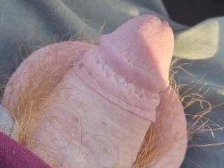 Semi-hard in the car