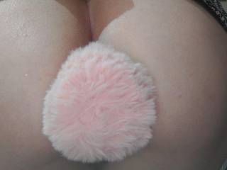 Hi 
Can I be your bunny ? 💖