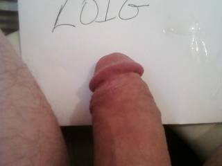 cock