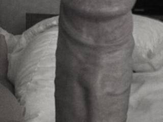 My Cock