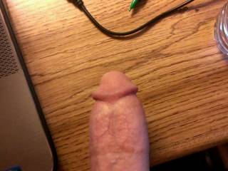 My cock. Girls add me if you like