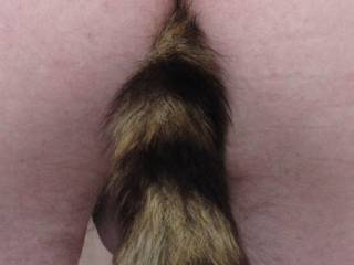 my little tail