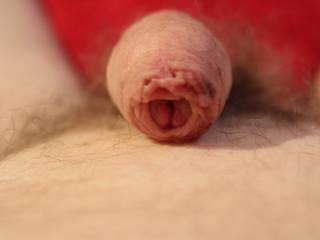 Could 'He' look any less threatening lying collapsed on my abdomen ?
