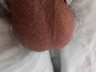 Anyone like these balls. There's a lot of cum in them for anyone who wants too release it