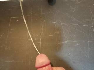 Love to cum every chance I get.