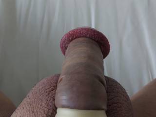 My Meaty Dick cock cut circumcised mushroom head big head dick